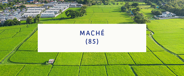 Maché 85 Lotissement Du Lac