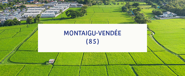 Montaigu Vendée 85