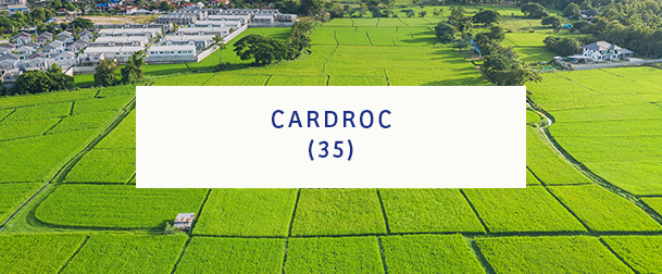 Cardroc 35
