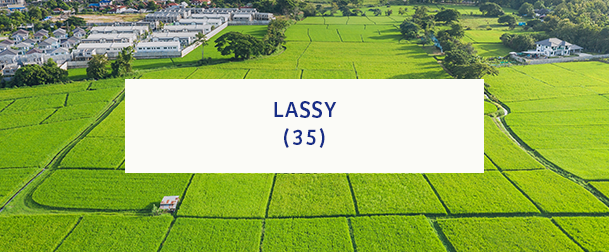 Lassy 35