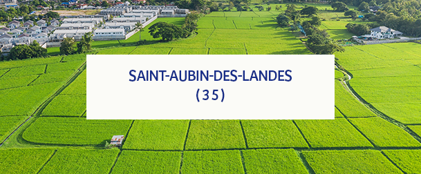 Saint Aubin Des Landes 35