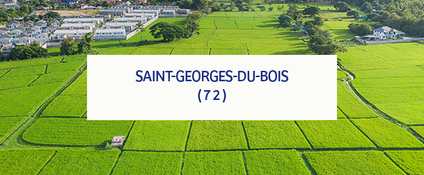 Saint Georges Du Bois 72